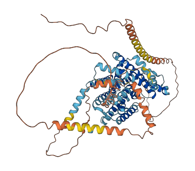 SLC24A2 3D structure