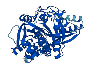 CPA4 3D structure