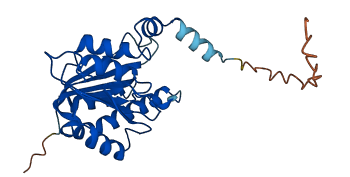 MRM2 3D structure