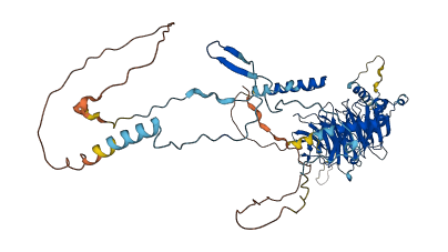 DNAI1 3D structure