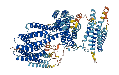 CTNNA3 3D structure