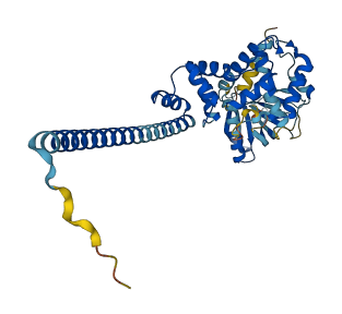 CYTH4 3D structure