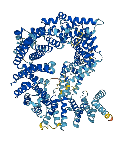 XPO7 3D structure