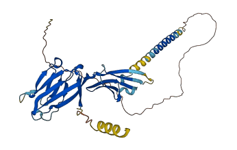 CD84 3D structure