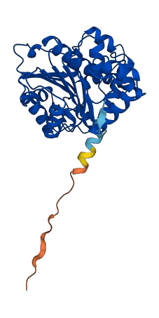 LCMT1 3D structure