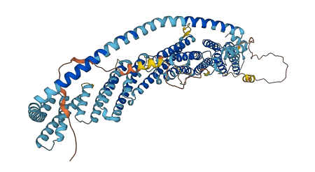 VPS51 3D structure