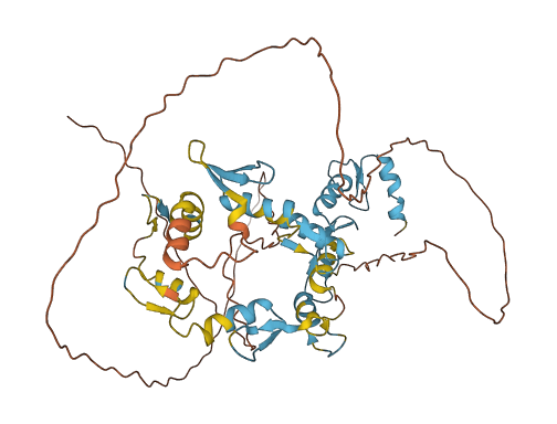 ZNF639 3D structure