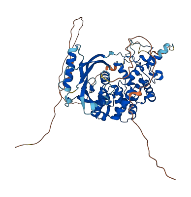 MUTYH 3D structure