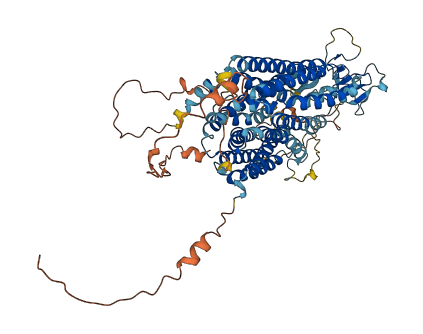 SLCO3A1 3D structure