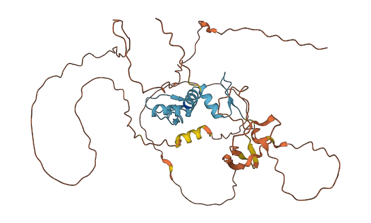 KLF15 3D structure