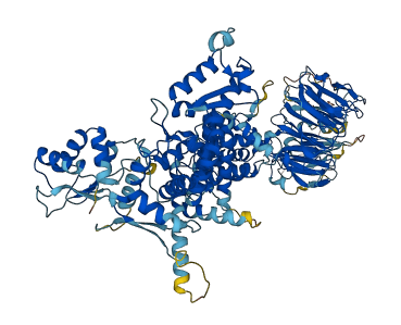 HERC5 3D structure