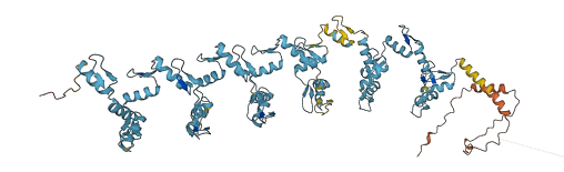 ZNF107 3D structure