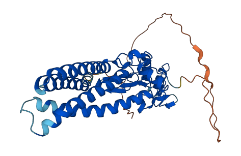 ZDHHC2 3D structure