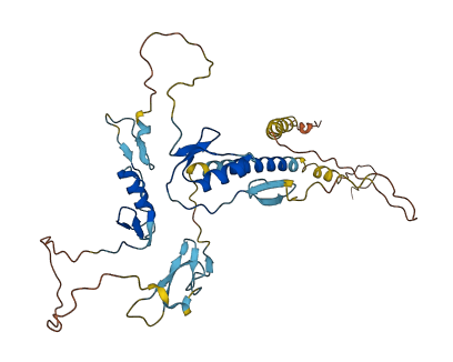 TMEFF2 3D structure