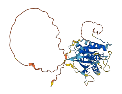 KIF25 3D structure