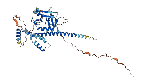 PHF11 3D structure