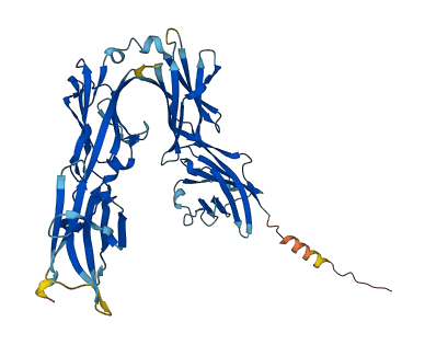 BTNL2 3D structure