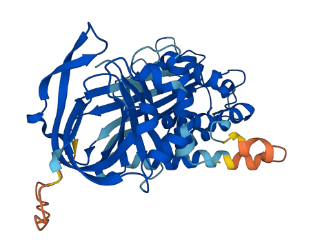 SERPINB13 3D structure