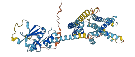 KCNG1 3D structure