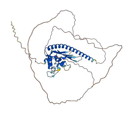 TSPYL4 3D structure