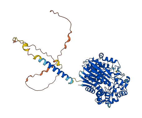GGT7 3D structure