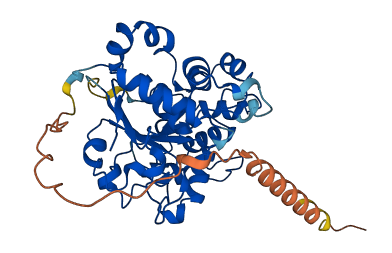 ST6GALNAC2 3D structure
