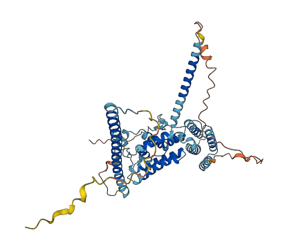 RABGEF1 3D structure
