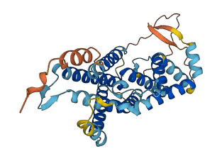 GPR160 3D structure