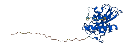 MSRA 3D structure