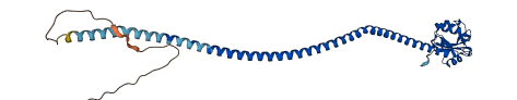 CD207 3D structure