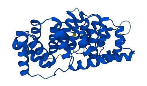 ANXA10 3D structure