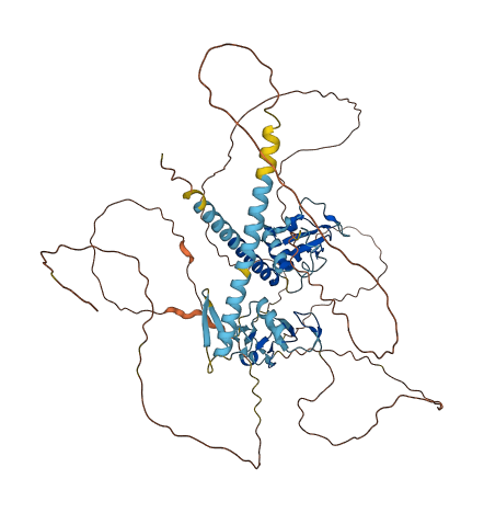 ZMYM5 3D structure
