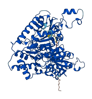 HACL1 3D structure