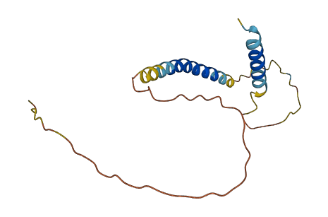 KCNE5 3D structure