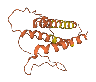 LINC00527 3D structure