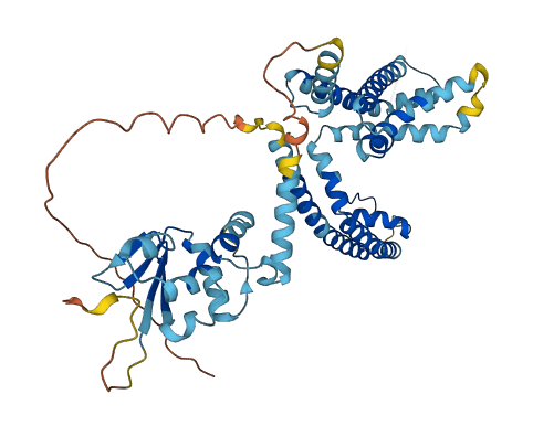 KCNG2 3D structure
