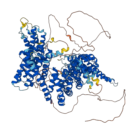 STAG3 3D structure