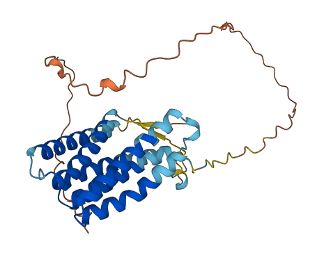 CRLS1 3D structure
