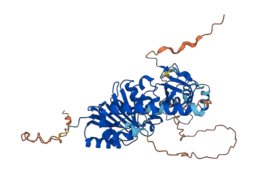 TRMT6 3D structure