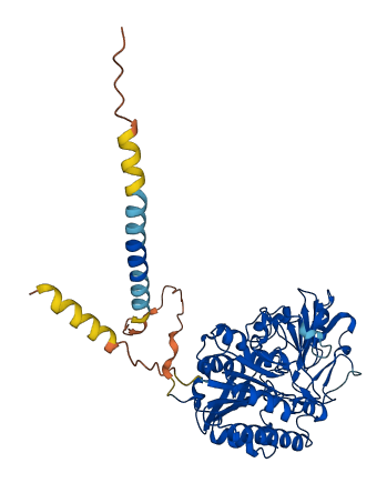 ENPP5 3D structure
