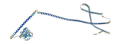 HOOK1 3D structure