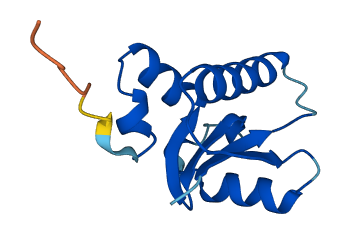 SH3BGRL2 3D structure