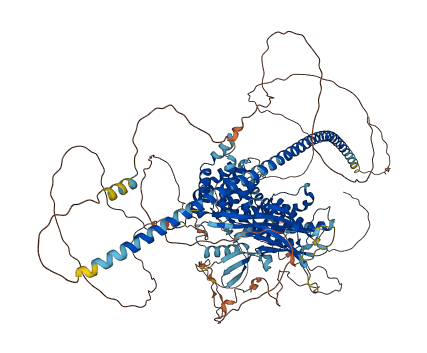 RASAL2 3D structure