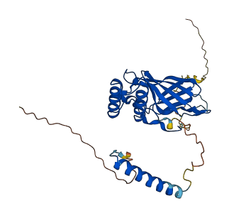 GNPTG 3D structure