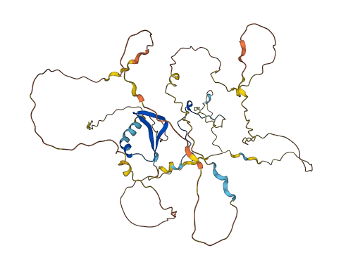 ERRFI1 3D structure