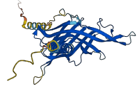 LAMP5 3D structure