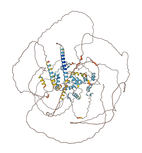 SALL4 3D structure