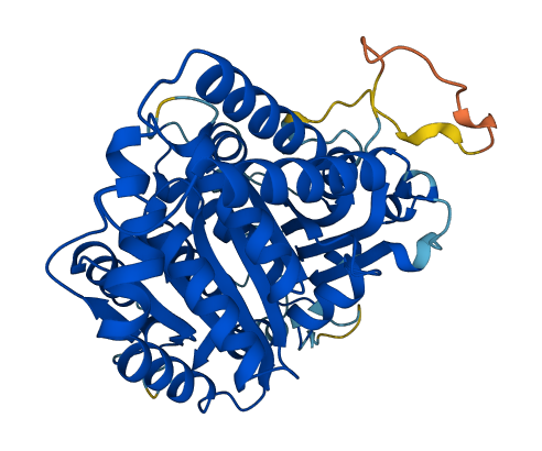 TUBD1 3D structure