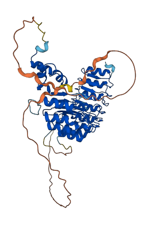 FBXL7 3D structure