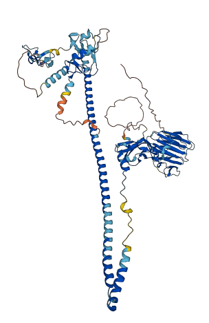 MID2 3D structure